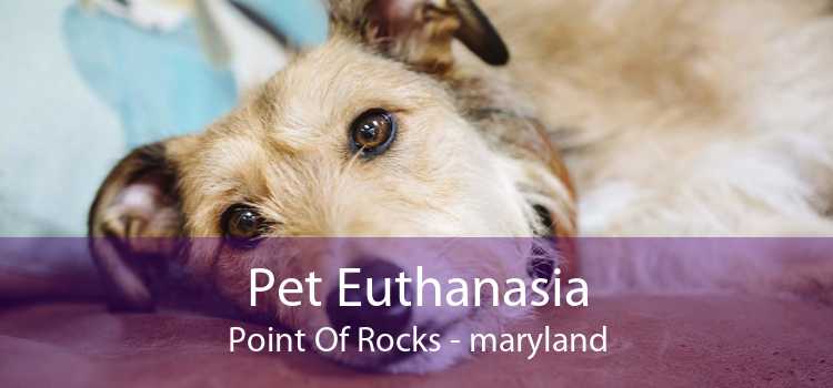 Pet Euthanasia Point Of Rocks - maryland