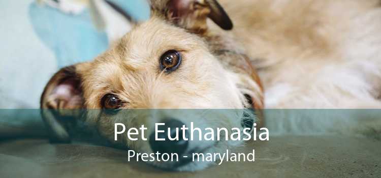 Pet Euthanasia Preston - maryland