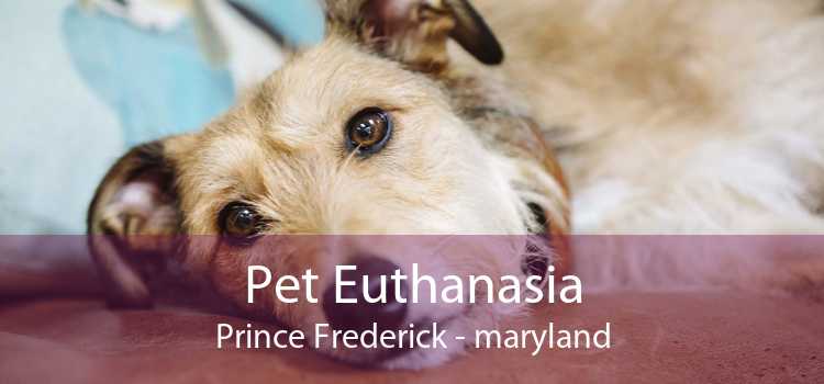 Pet Euthanasia Prince Frederick - maryland