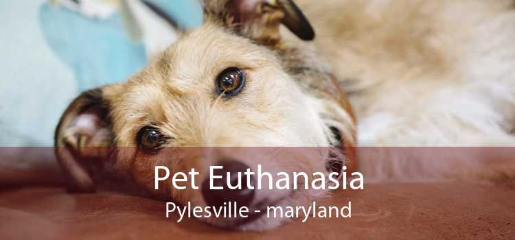 Pet Euthanasia Pylesville - maryland