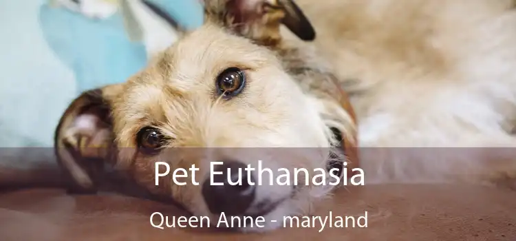 Pet Euthanasia Queen Anne - maryland