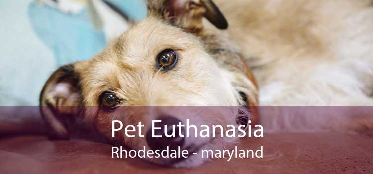 Pet Euthanasia Rhodesdale - maryland