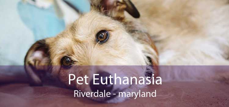 Pet Euthanasia Riverdale - maryland