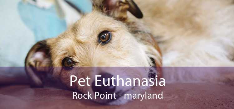 Pet Euthanasia Rock Point - maryland