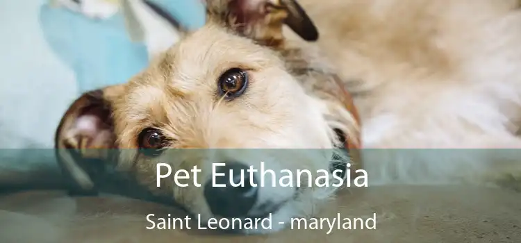Pet Euthanasia Saint Leonard - maryland
