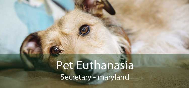 Pet Euthanasia Secretary - maryland