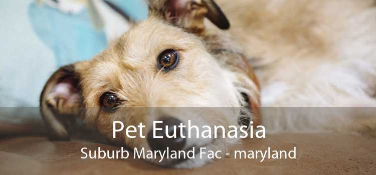 Pet Euthanasia Suburb Maryland Fac - maryland