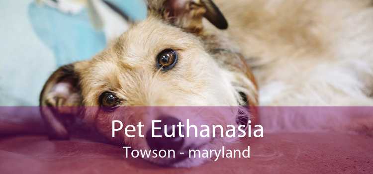 Pet Euthanasia Towson - maryland