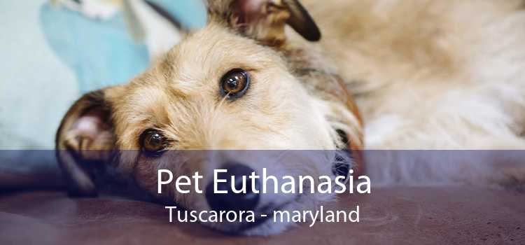 Pet Euthanasia Tuscarora - maryland
