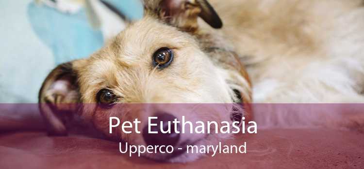 Pet Euthanasia Upperco - maryland