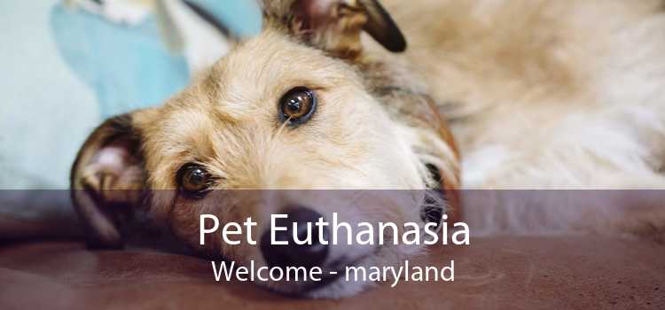 Pet Euthanasia Welcome - maryland