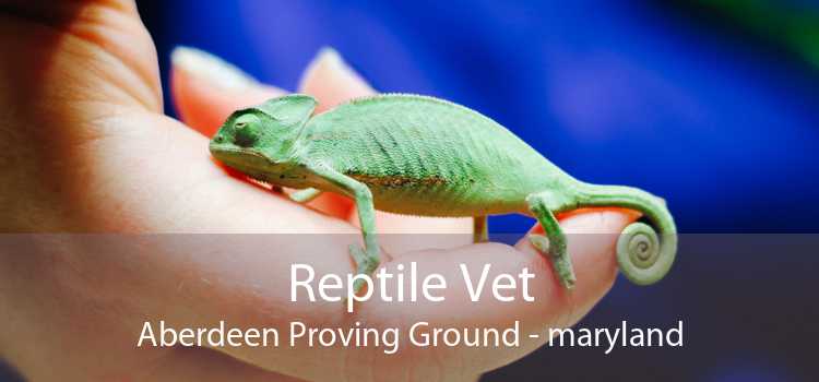 Reptile Vet Aberdeen Proving Ground - maryland