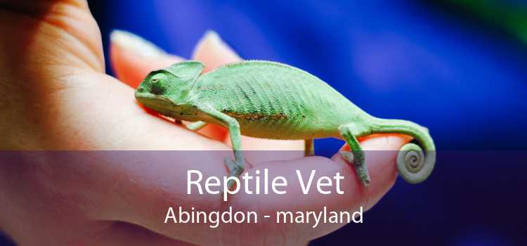 Reptile Vet Abingdon - maryland