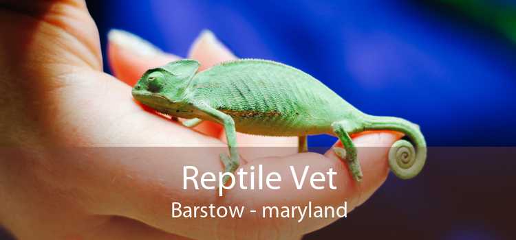 Reptile Vet Barstow - maryland