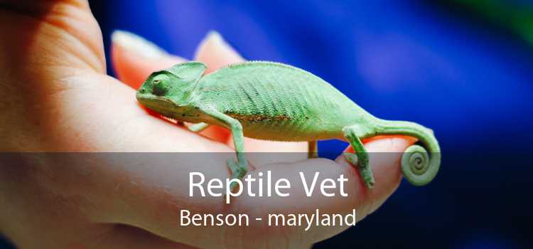 Reptile Vet Benson - maryland