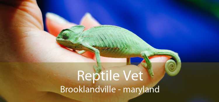 Reptile Vet Brooklandville - maryland