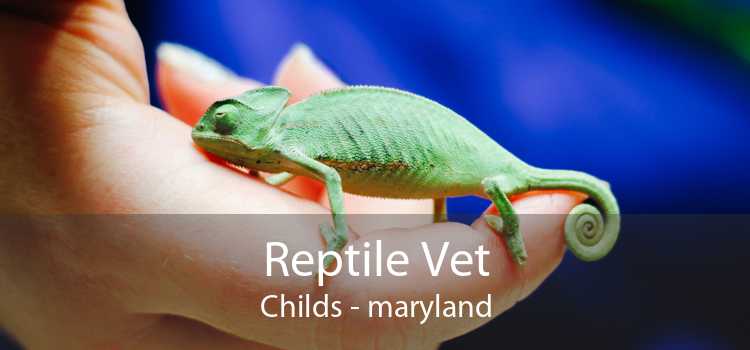 Reptile Vet Childs - maryland