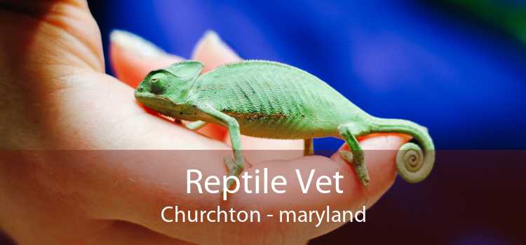 Reptile Vet Churchton - maryland