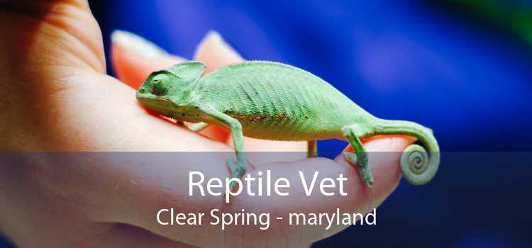 Reptile Vet Clear Spring - maryland