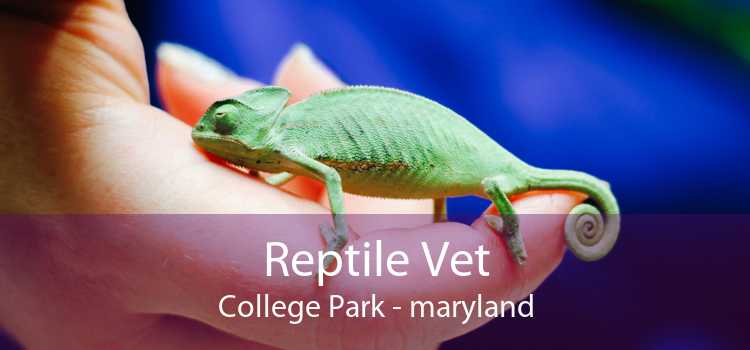 Reptile Vet College Park - maryland
