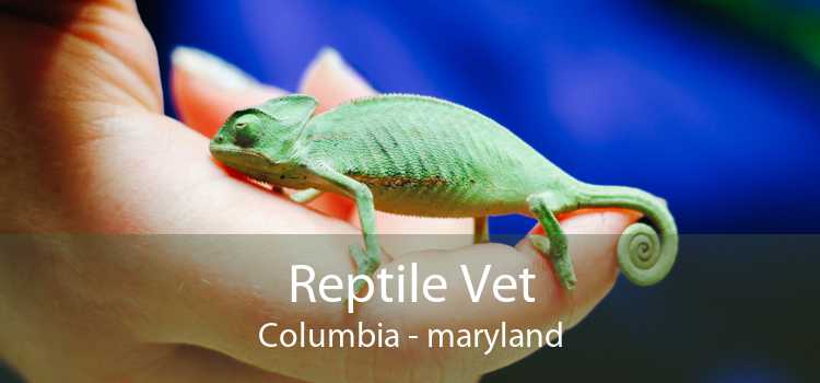 Reptile Vet Columbia - maryland