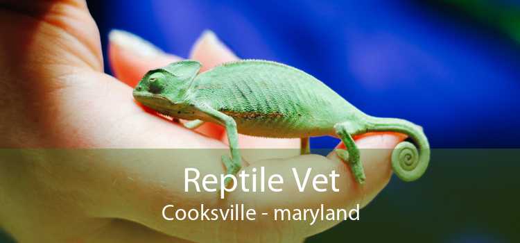 Reptile Vet Cooksville - maryland