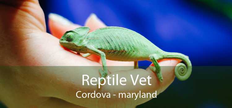 Reptile Vet Cordova - maryland