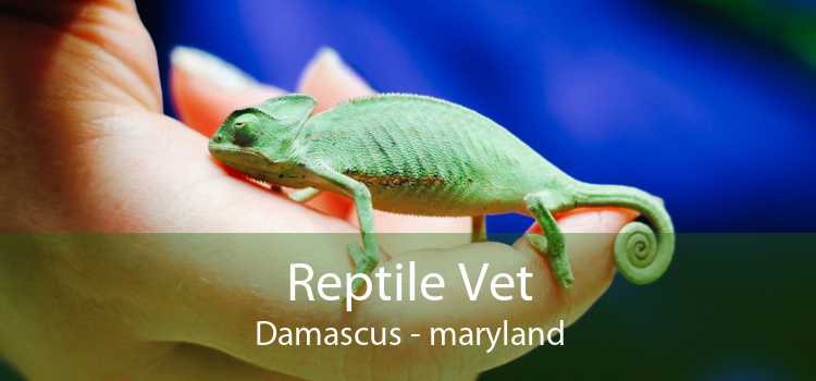 Reptile Vet Damascus - maryland