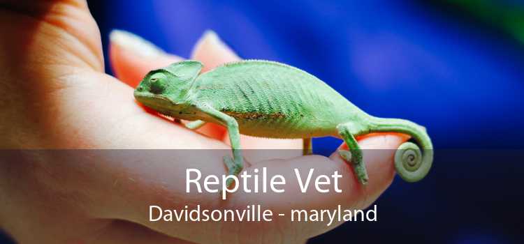 Reptile Vet Davidsonville - maryland