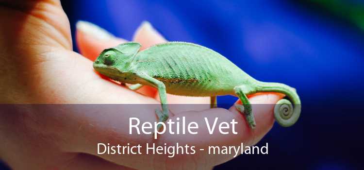 Reptile Vet District Heights - maryland