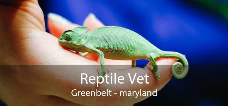 Reptile Vet Greenbelt - maryland