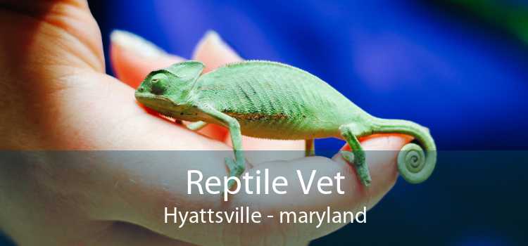 Reptile Vet Hyattsville - maryland