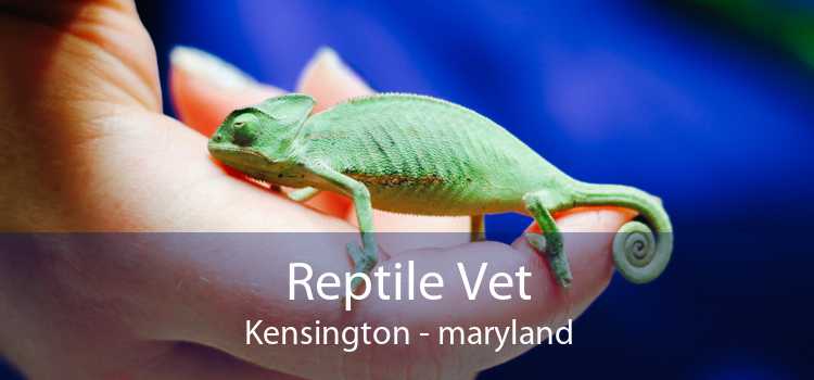 Reptile Vet Kensington - maryland
