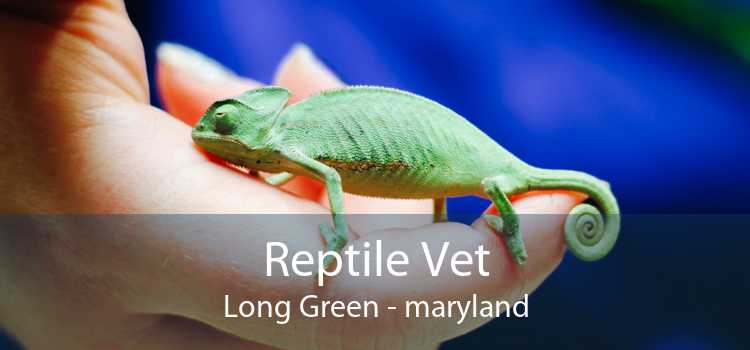 Reptile Vet Long Green - maryland