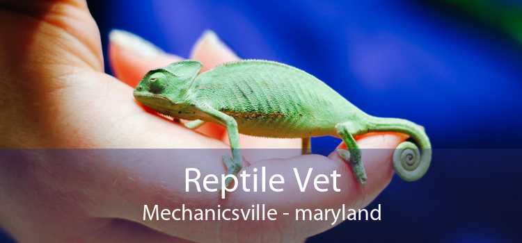 Reptile Vet Mechanicsville - maryland