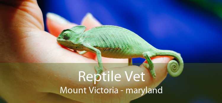 Reptile Vet Mount Victoria - maryland