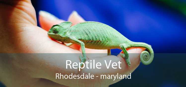 Reptile Vet Rhodesdale - maryland