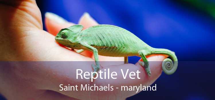 Reptile Vet Saint Michaels - maryland