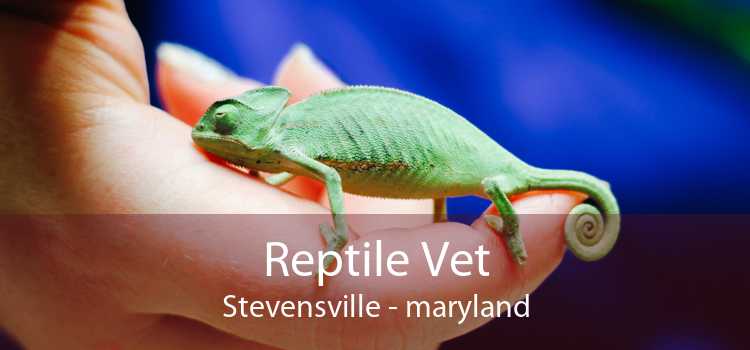 Reptile Vet Stevensville - maryland