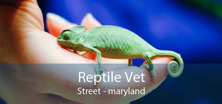 Reptile Vet Street - maryland