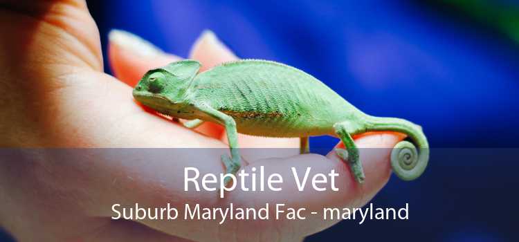 Reptile Vet Suburb Maryland Fac - maryland