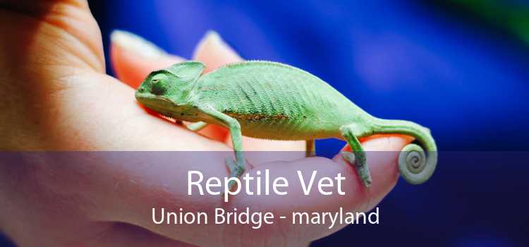 Reptile Vet Union Bridge - maryland