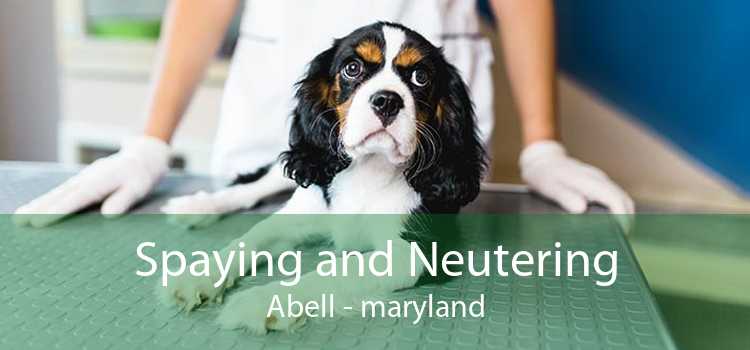 Spaying and Neutering Abell - maryland