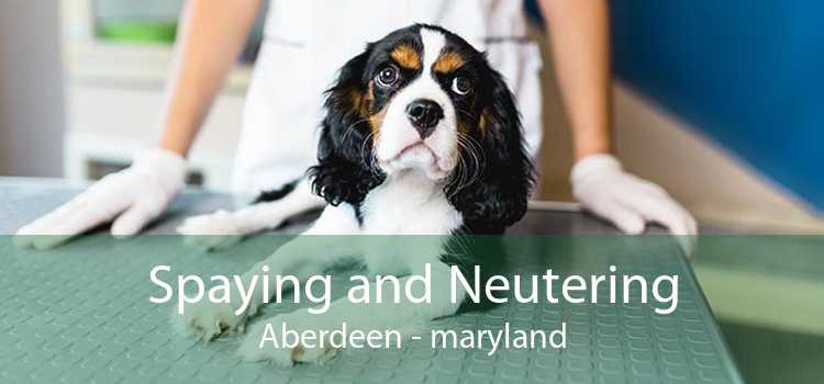 Spaying and Neutering Aberdeen - maryland