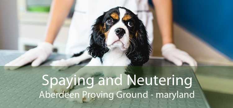 Spaying and Neutering Aberdeen Proving Ground - maryland
