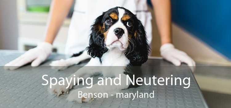 Spaying and Neutering Benson - maryland
