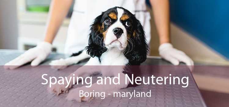 Spaying and Neutering Boring - maryland