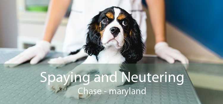 Spaying and Neutering Chase - maryland