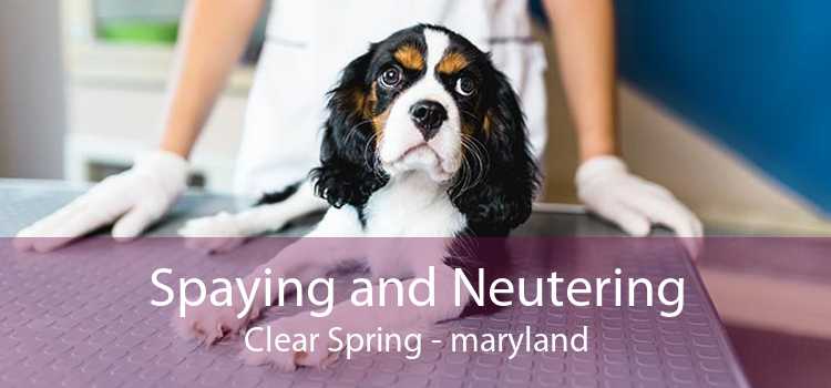 Spaying and Neutering Clear Spring - maryland