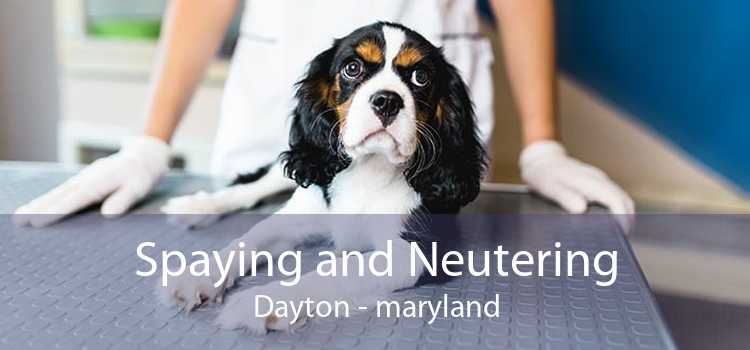 Spaying and Neutering Dayton - maryland